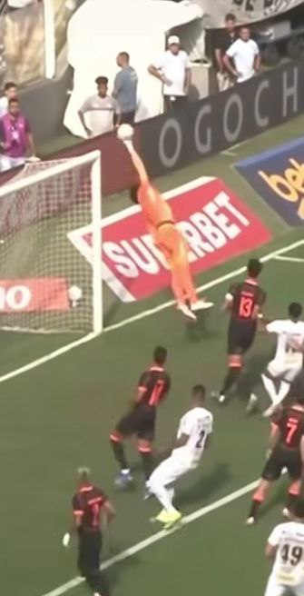 Thiago Pessoa tweet media