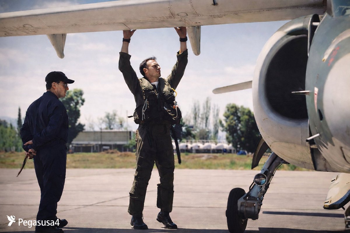 PegasusA4 tweet media