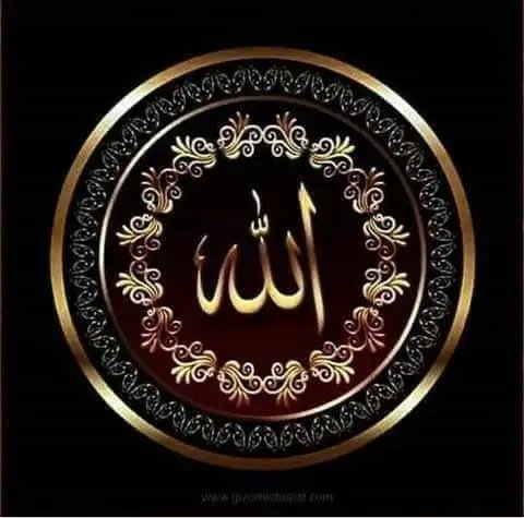 🌻ڈاکٹر عفراء اعوان ملک🍀 tweet media