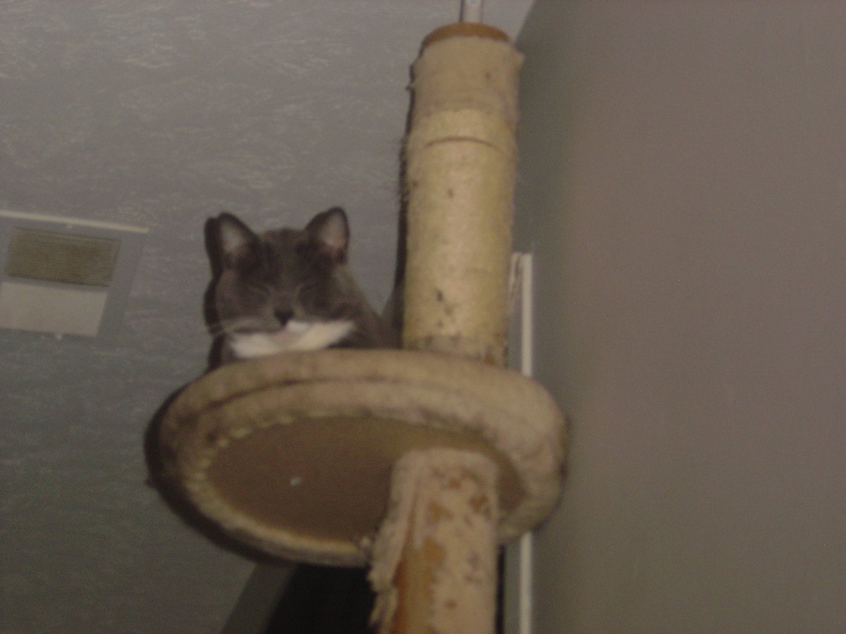 avery 🌱 tweet media