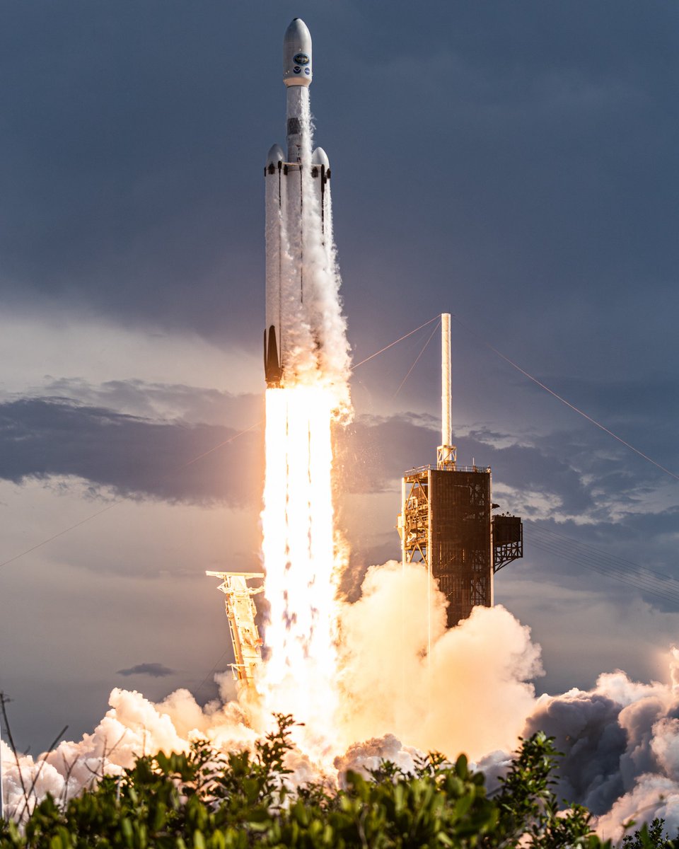 Max Evans tweet media