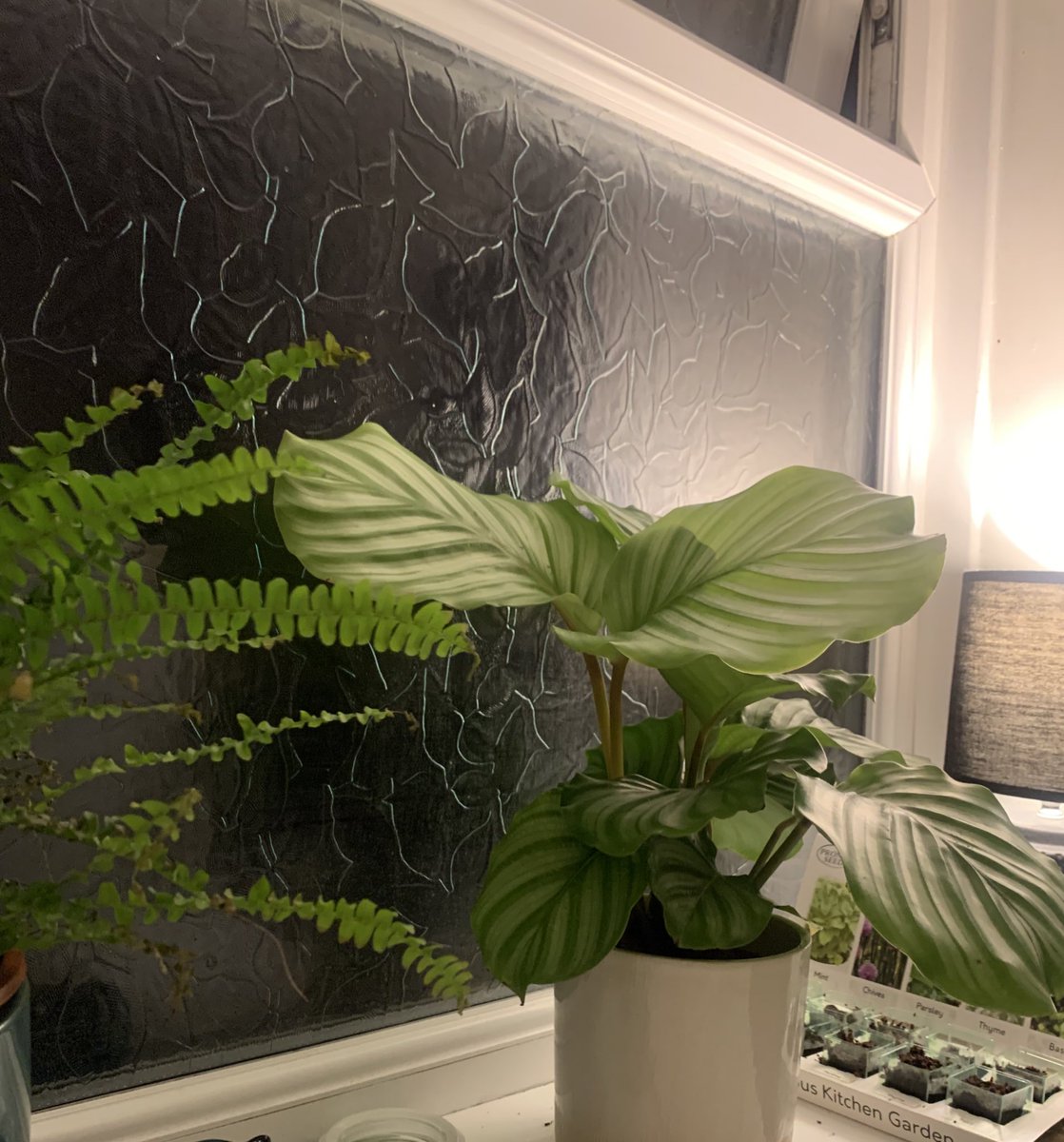 Brad Bennett 🦦 tweet media