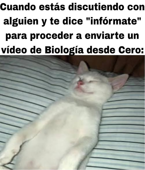 KARBIENKIP tweet media