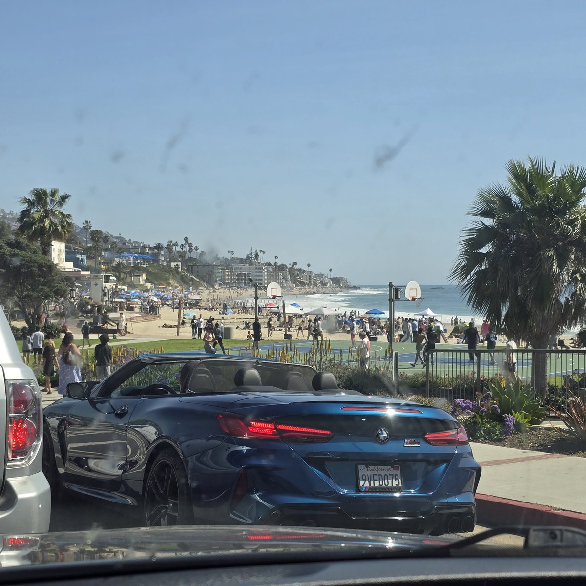 🐝 Carol Walsh ^Monterey Bay^ tweet media