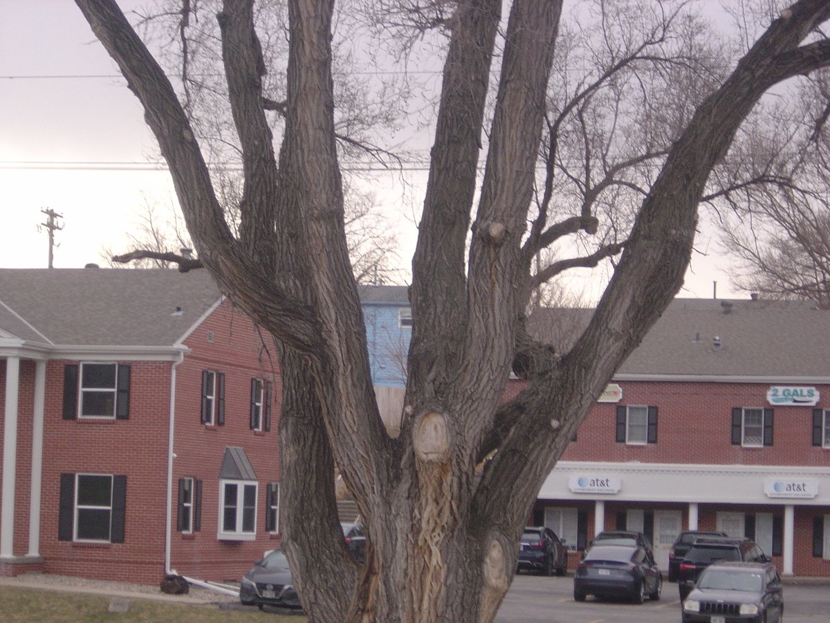 avery 🌱 tweet media