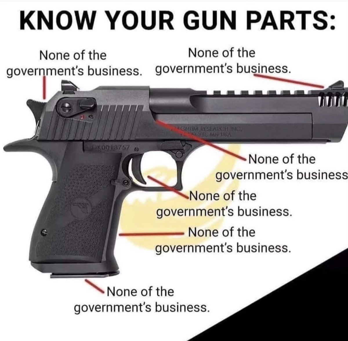 The Black Powder Podcast tweet media