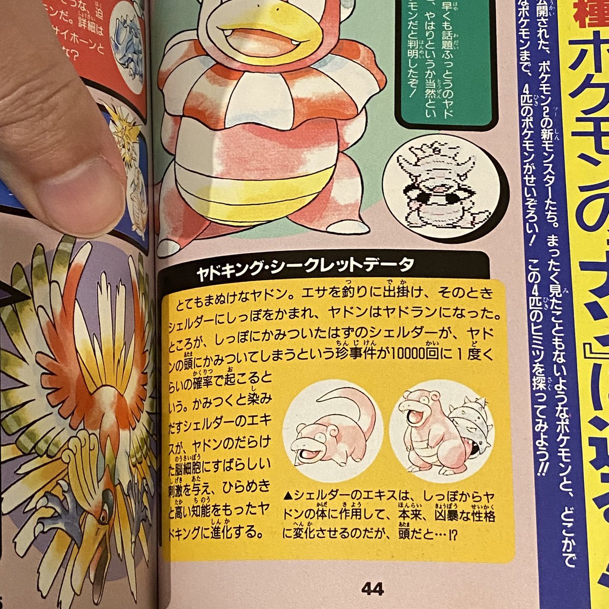 hobbyon_1283's tweet photo. ポケモン2の最新特報をちょっとだけお見せするぞ！！

#ポケモン https://t.co/s8ZiwpVytN