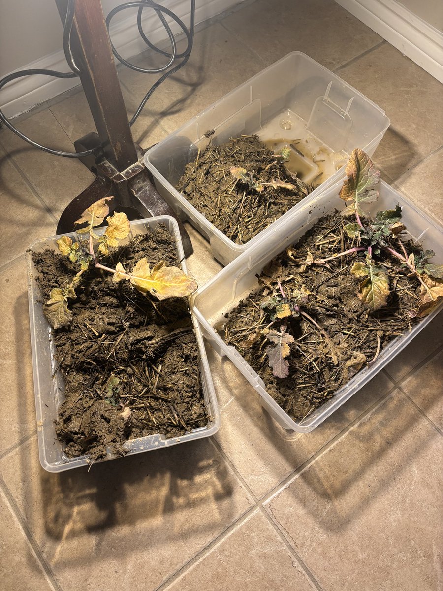 Don Smith tweet media