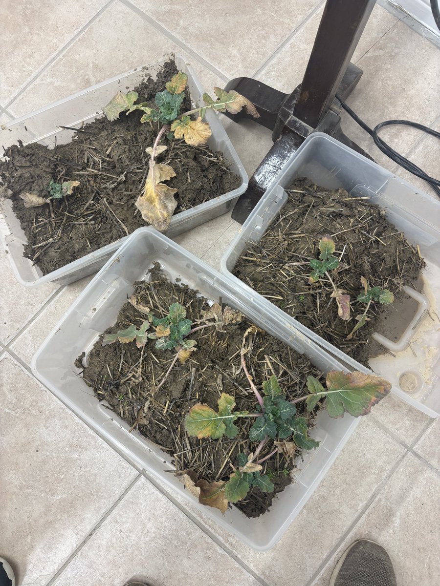 Don Smith tweet media