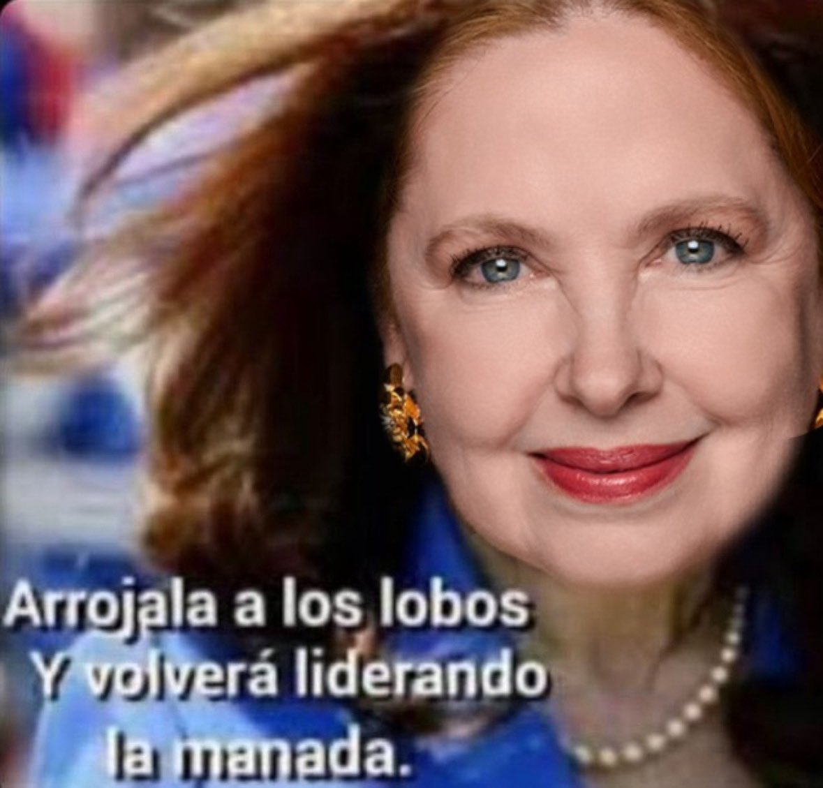 la Escribana tweet media