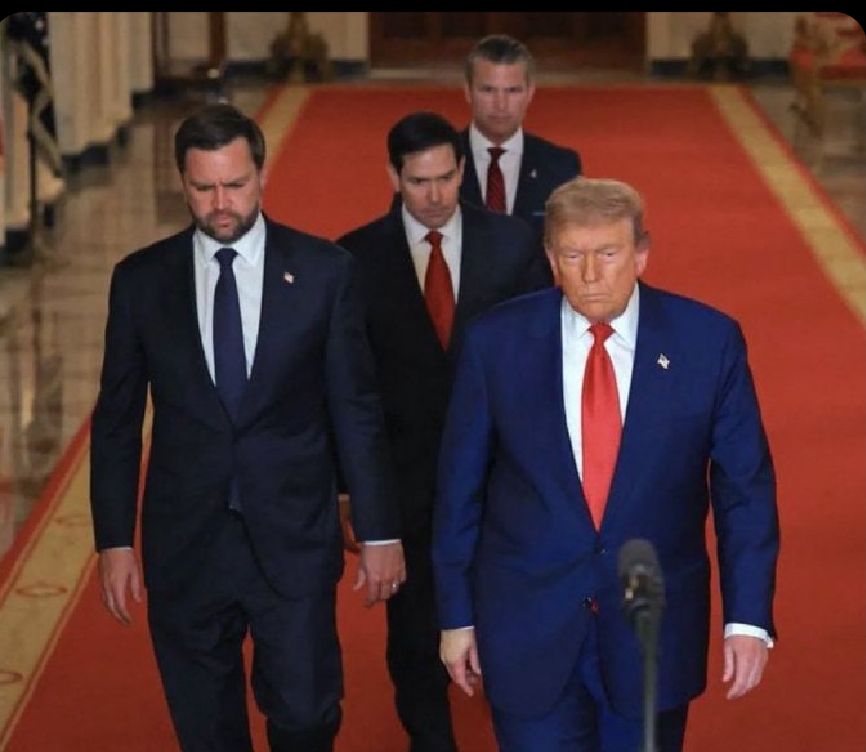 Donald Trump Jr Commentary Q tweet media