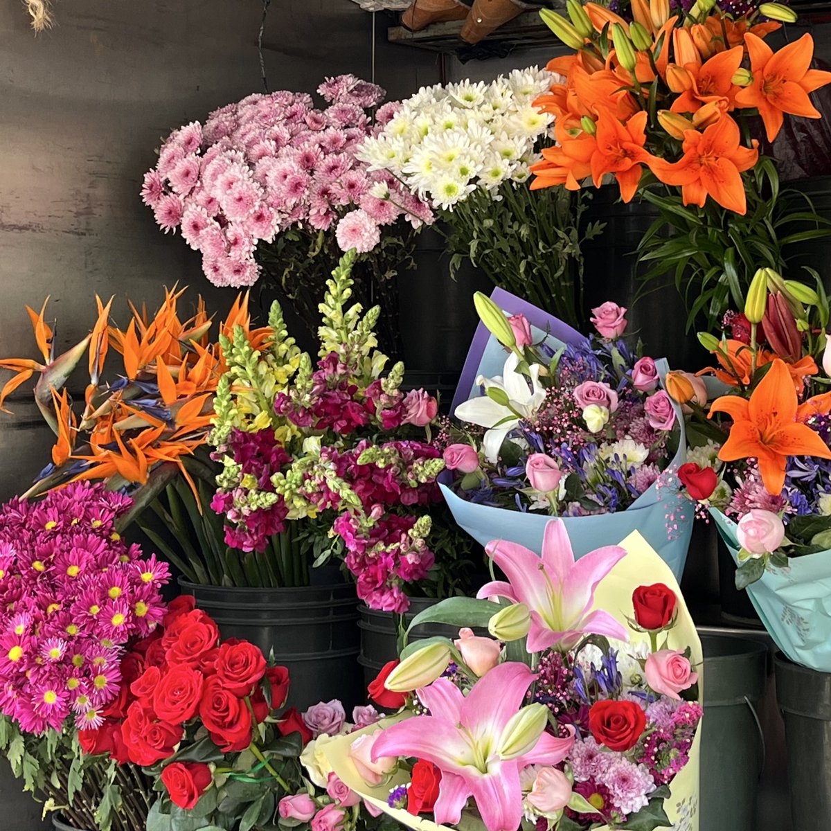 nanda 🍉 tweet media