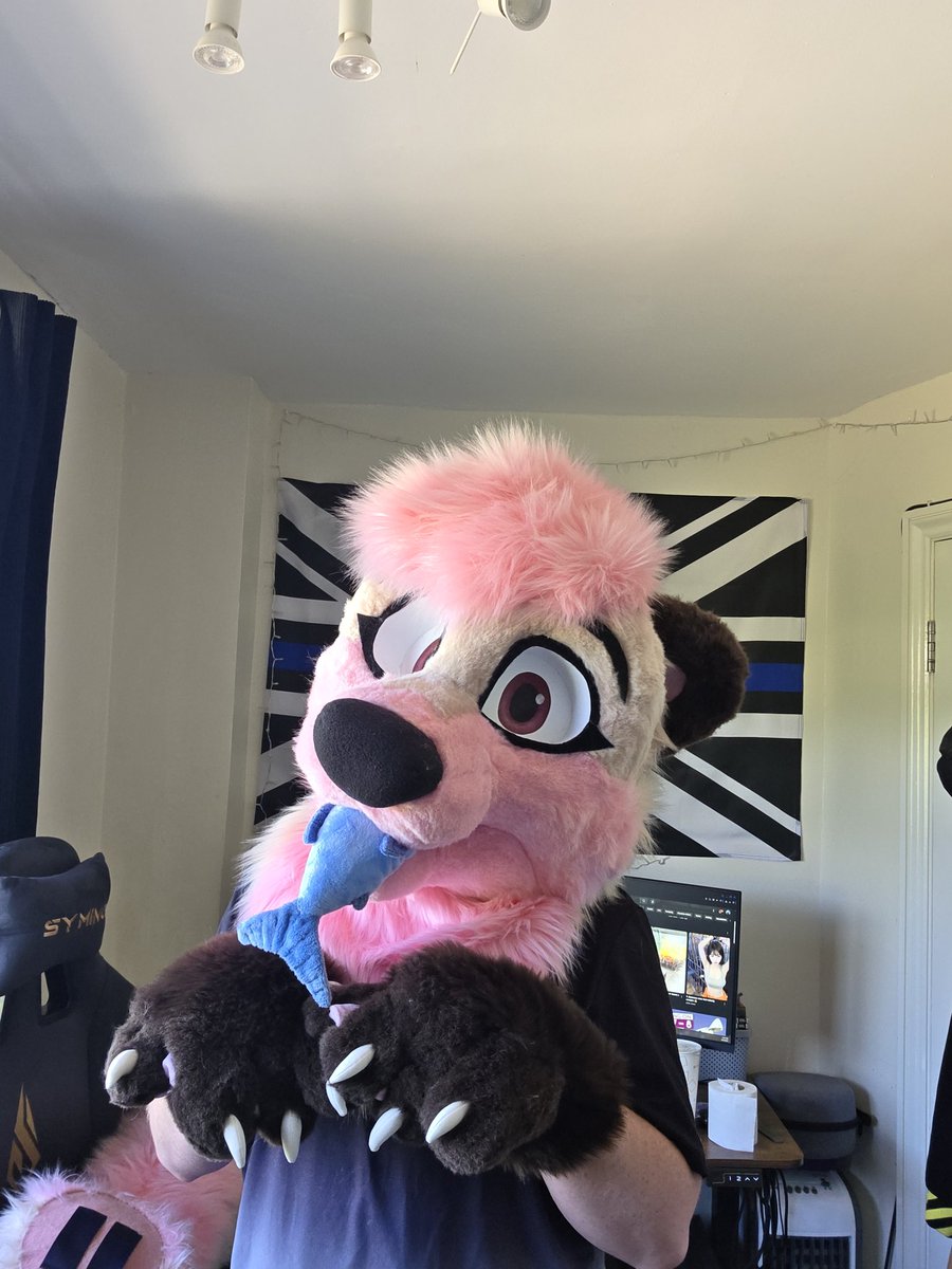 ↢🌸ItsPinkFloof🌸↣ tweet media