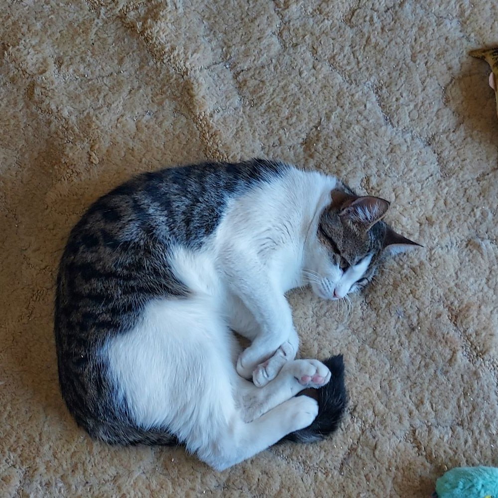 Diane Herridge 💜 tweet media