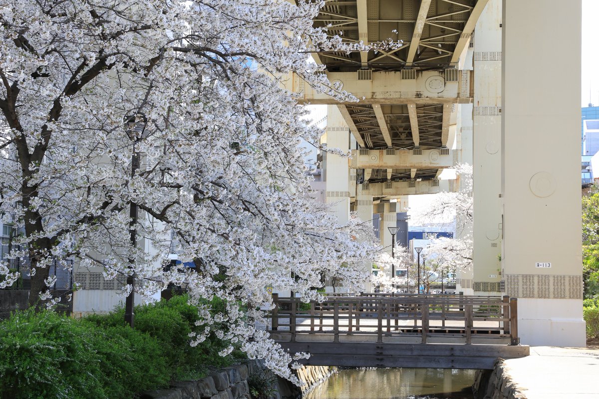 【公式】首都高速道路株式会社 tweet media