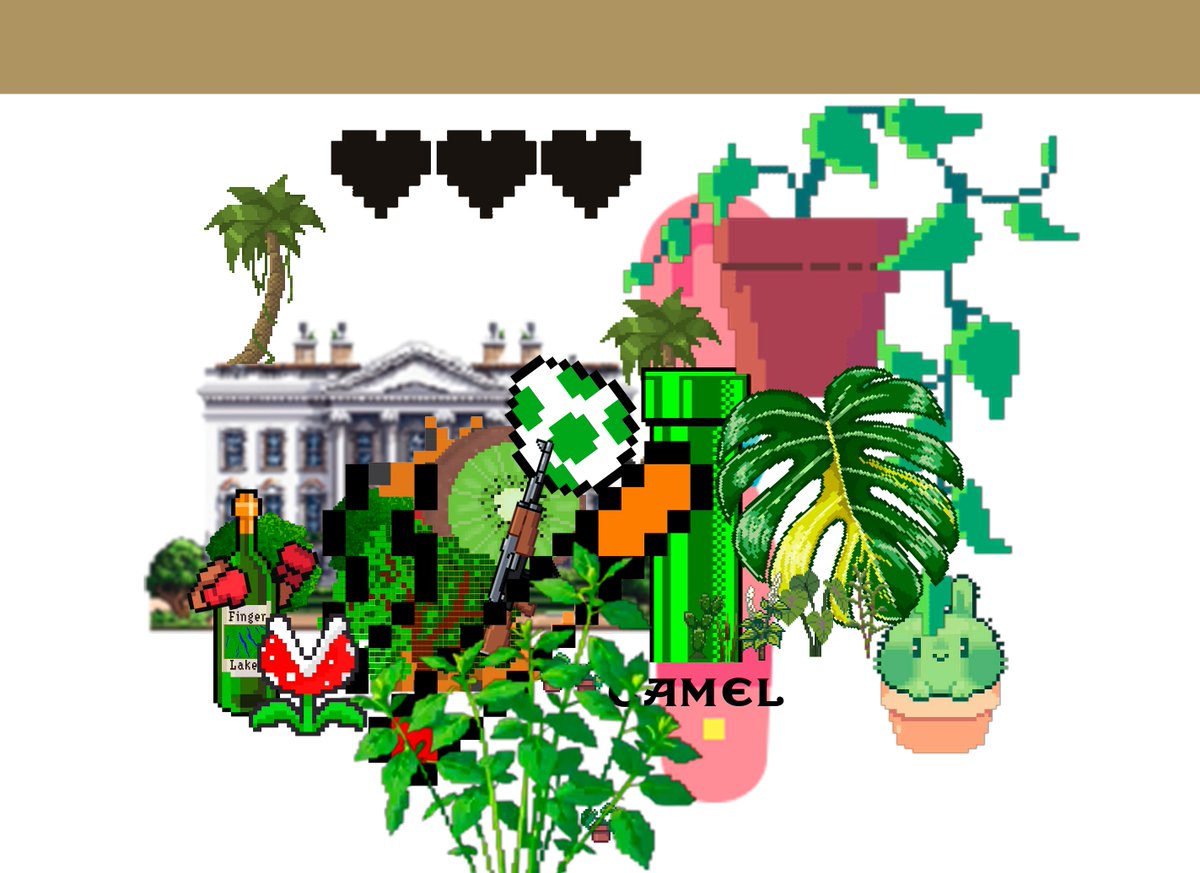 Rustic, the tweet media