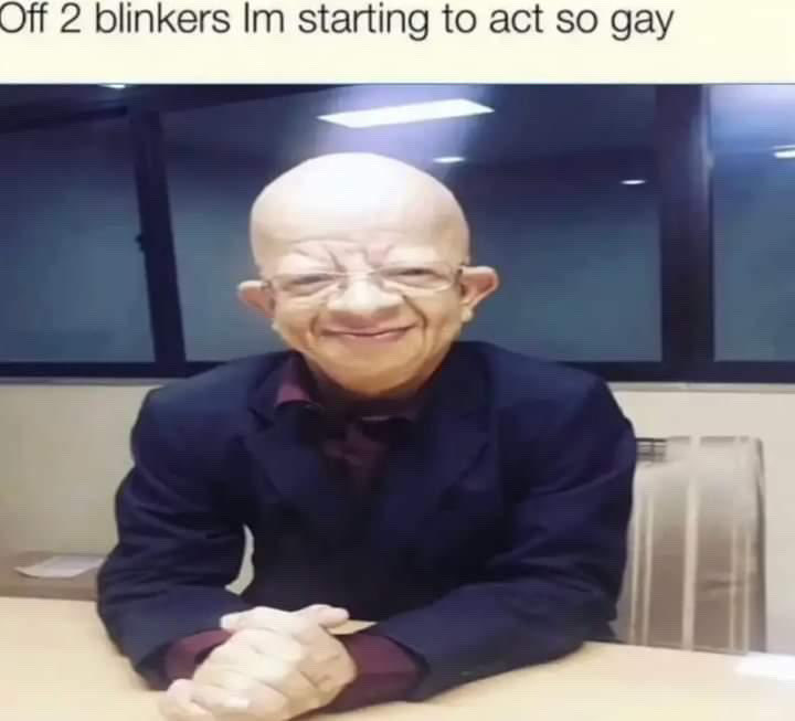 Leaves Fall🍃 tweet media