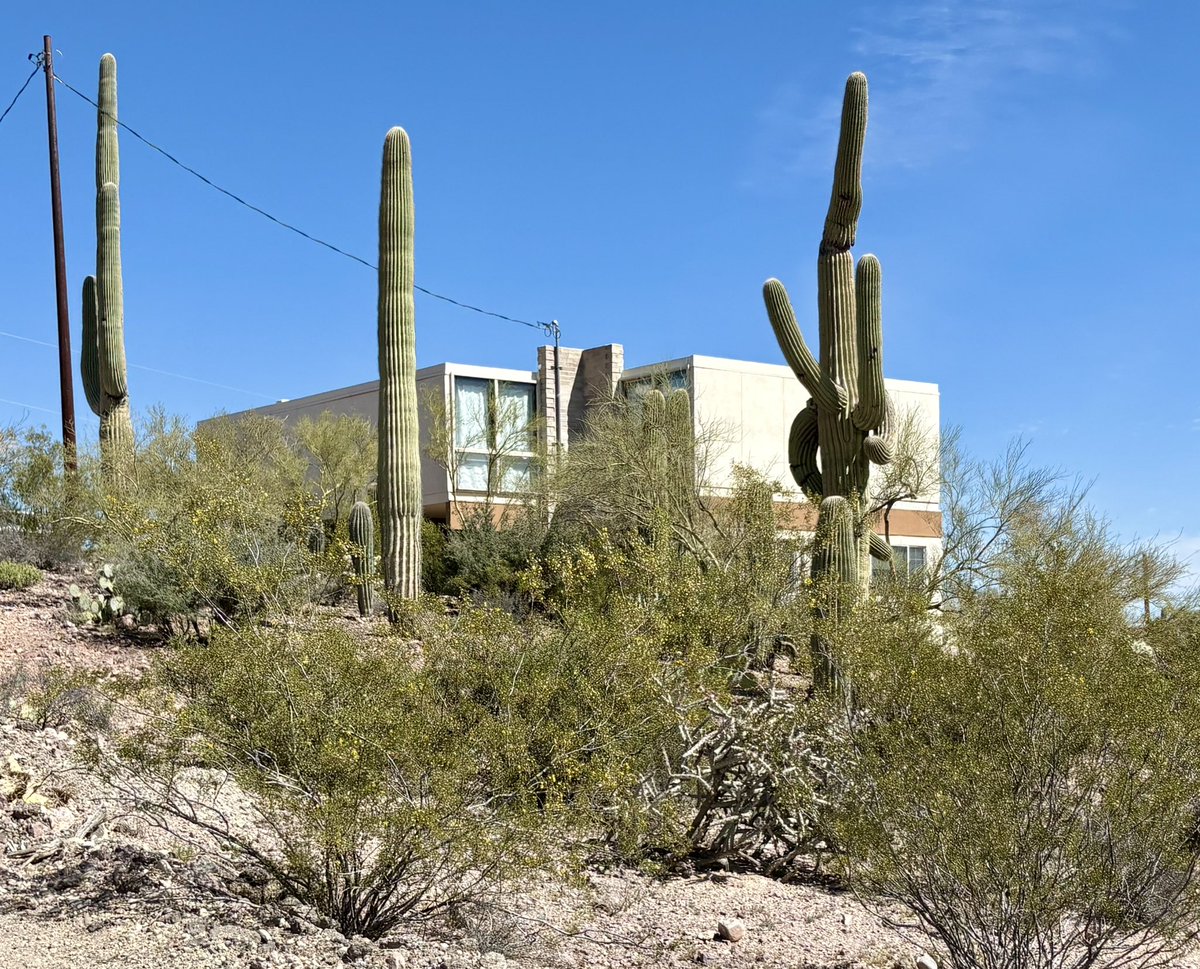 Midwest Modern tweet media