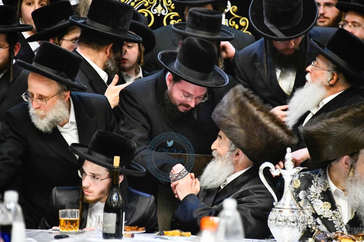 משה ויסברג tweet media