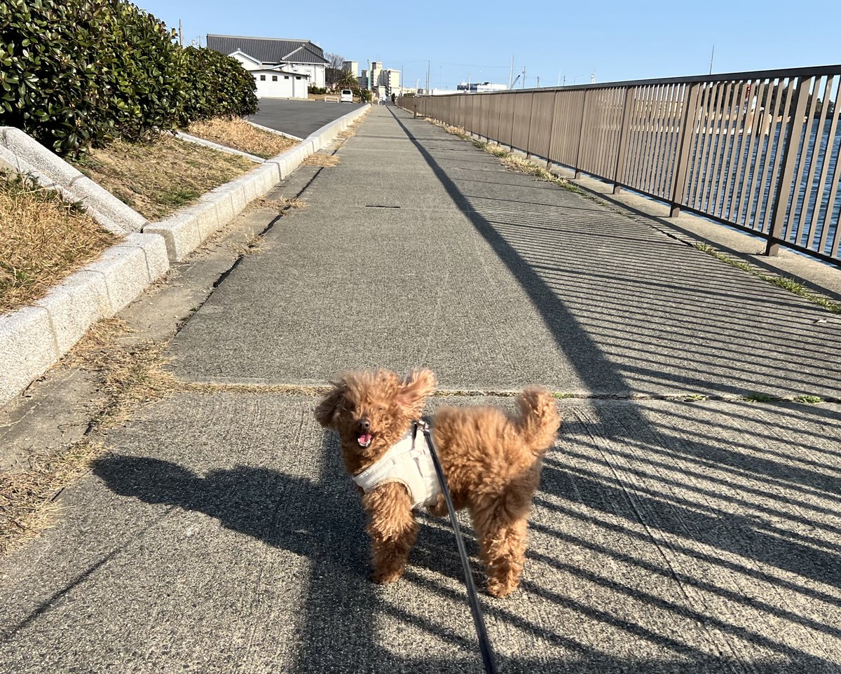 🌸2011.10.11（14歳5ヶ月） tweet media