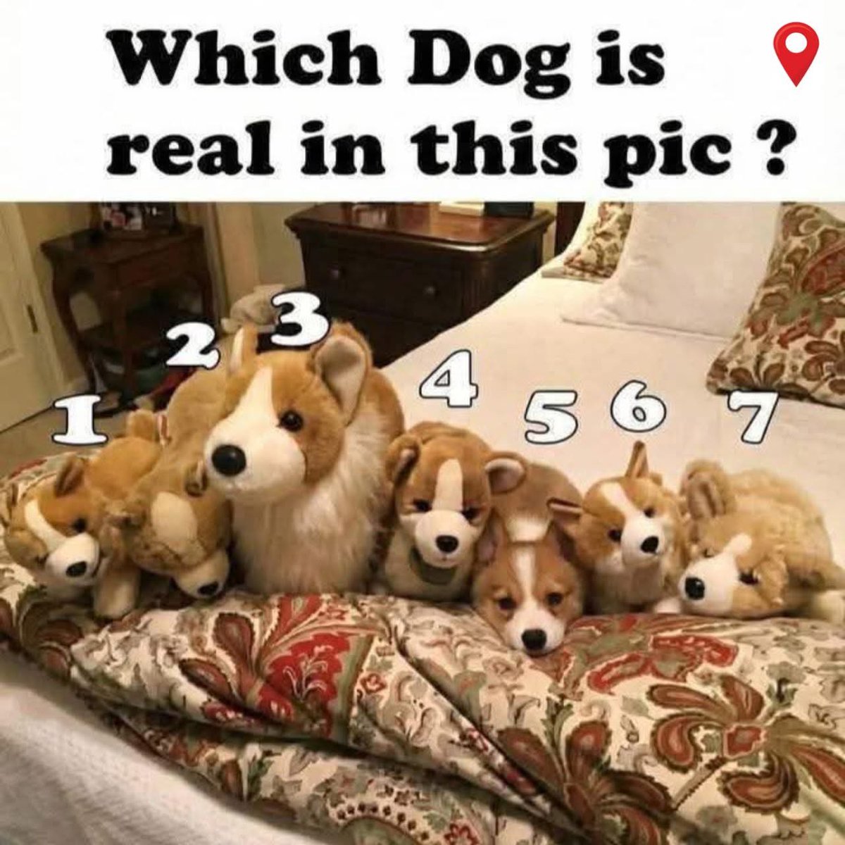 Ron wright tweet media