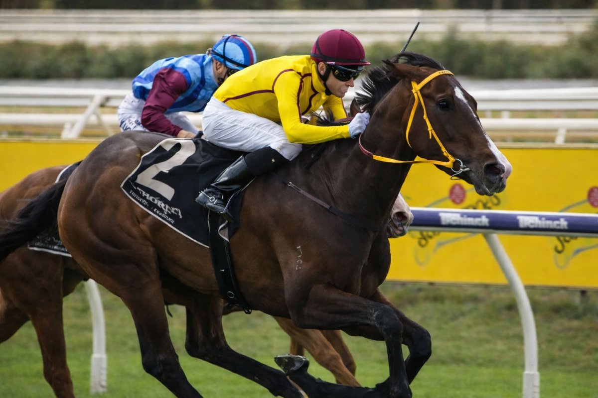 OzRace.com.au tweet media