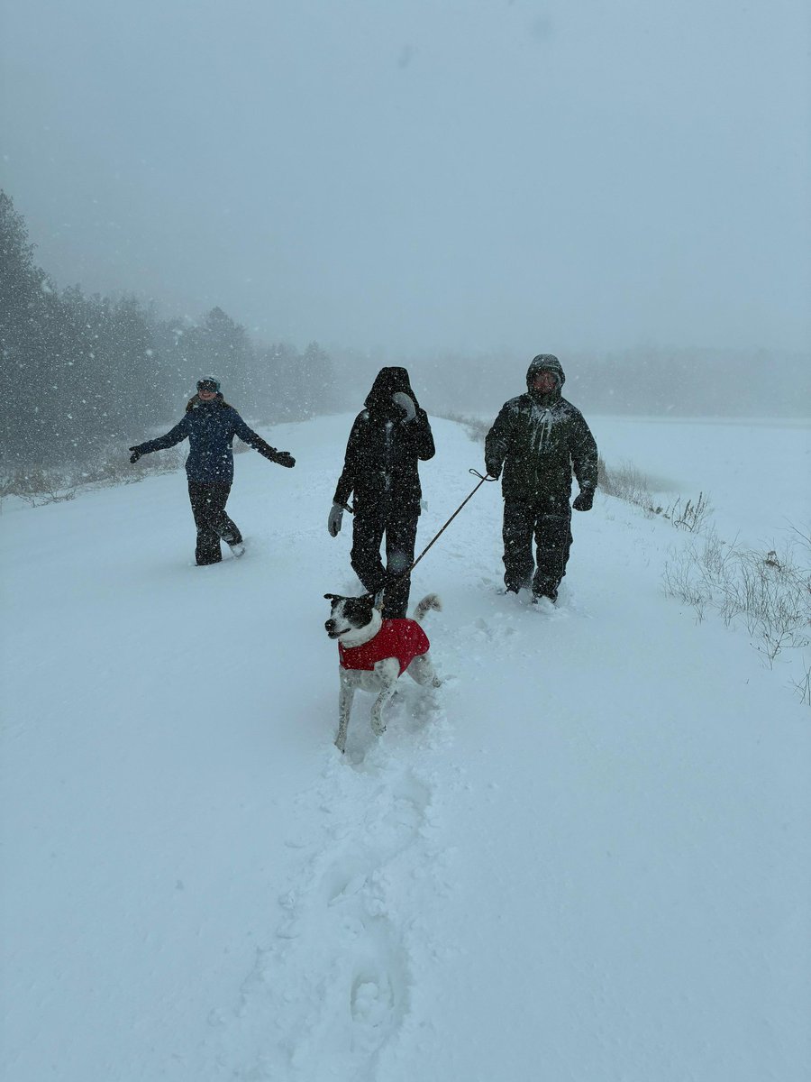 Chris Jackson | SEO Priest tweet media