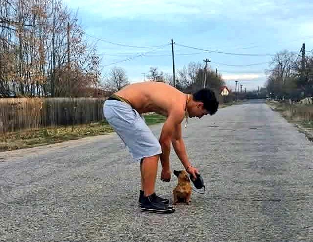 manbate74's tweet photo. Walkies 😍🐾

#man #sexy #lad #men #LGBT #lads #abs #pecs #gay #straight #gaylife #twink #boi #mancrush #hunks #grindr #cute #tiktok #hunk #reels #strong #guys #guy #abs #realman #male #males #muscle #fit #gaylove #friends #dog #bestmate #walk #dogs #goodtimes https://t.co/uZ4RFaUOZt