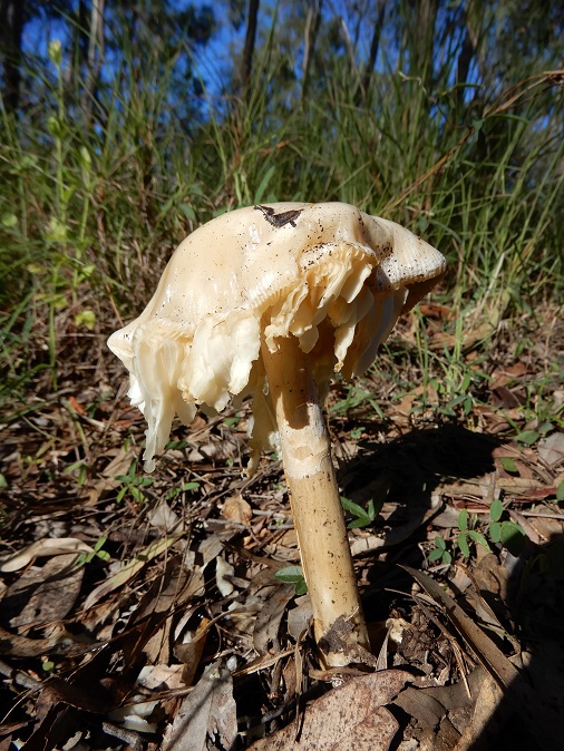 Manami.N tweet media