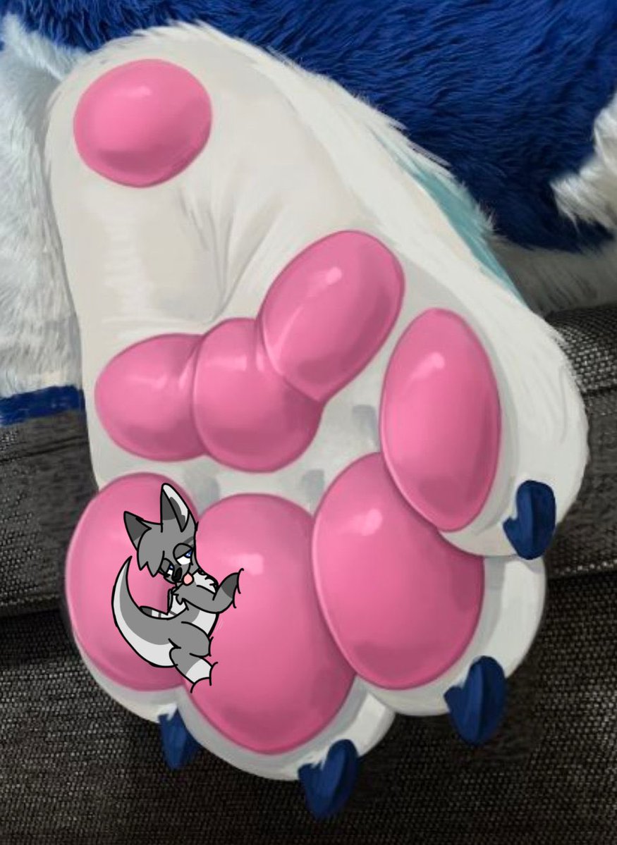 Oreo Kangy🦘🇨🇦 tweet media