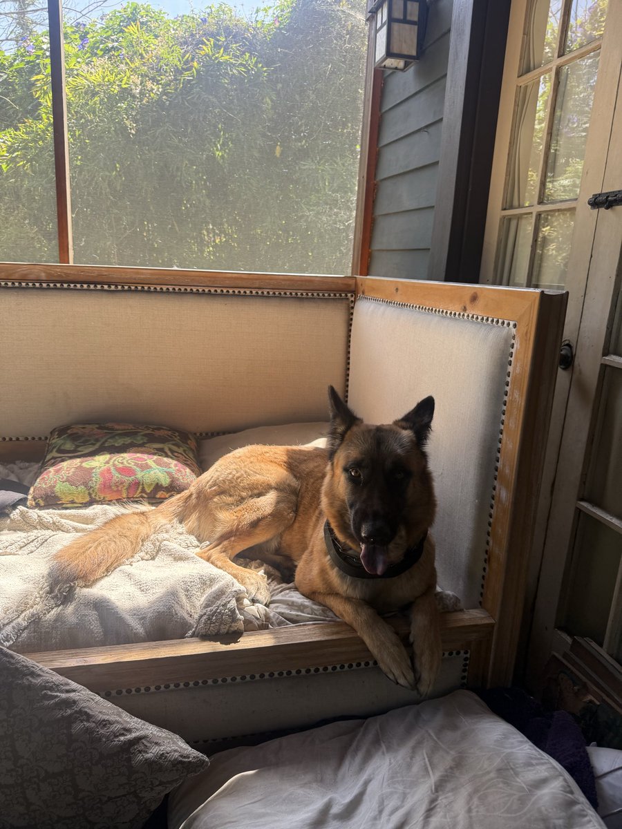 Jenn LAsKey tweet media