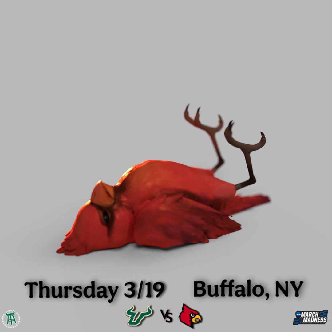 Barstool USF tweet media