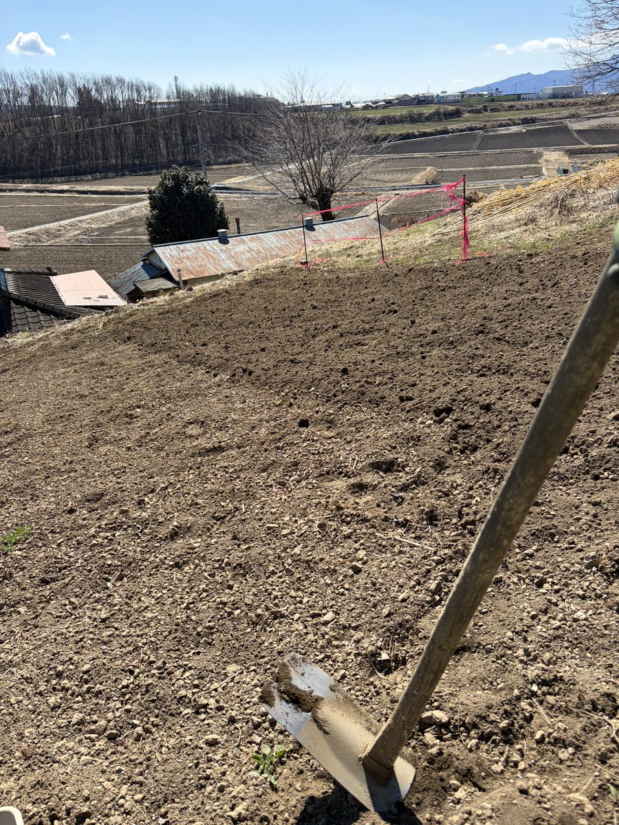 チョッキGT5000 tweet media