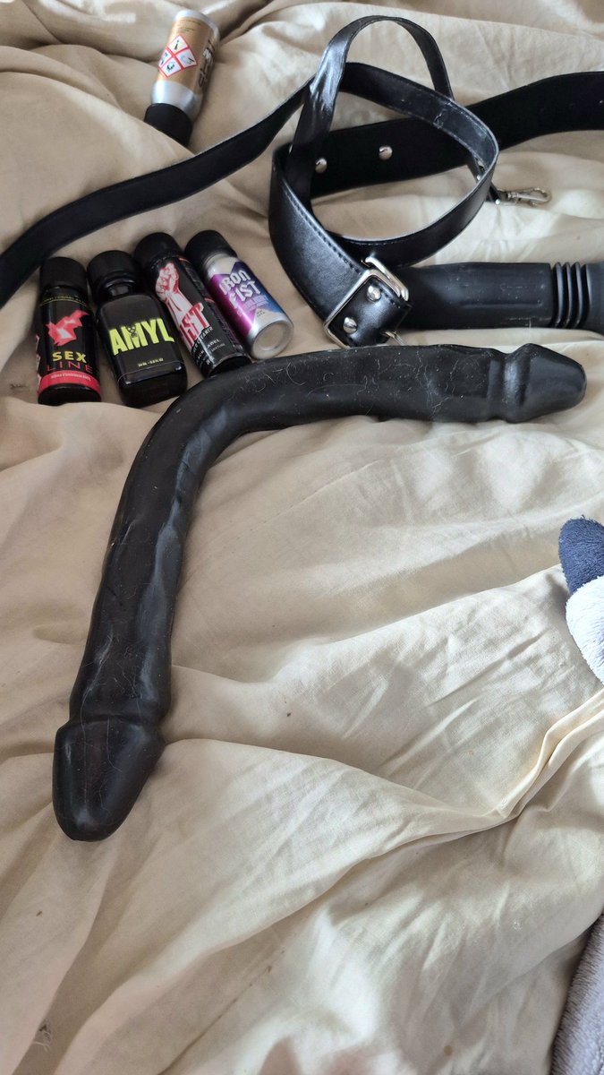 JimbisFrenchie🇨🇵 tweet media