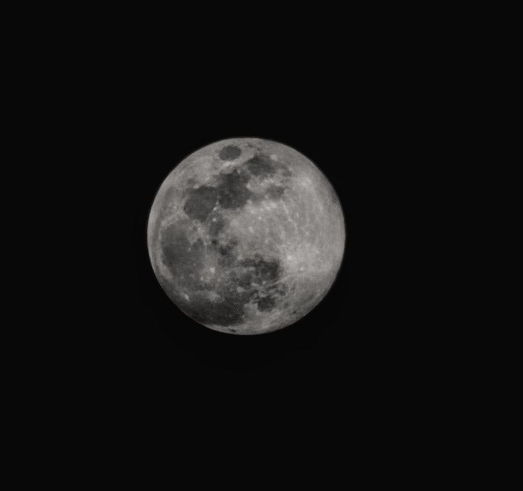 guro ; ️ tweet media