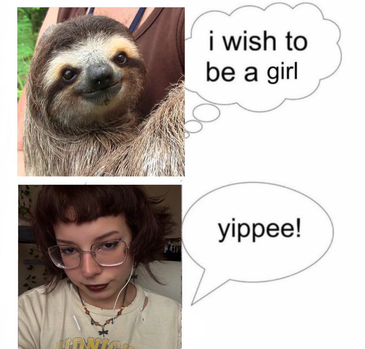 penny 🪴 tweet media