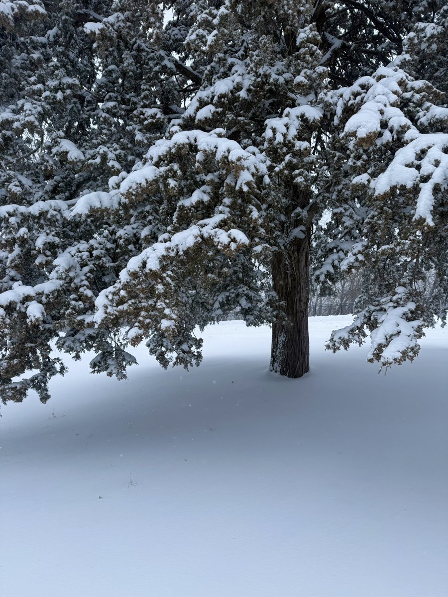 heatflow tweet media