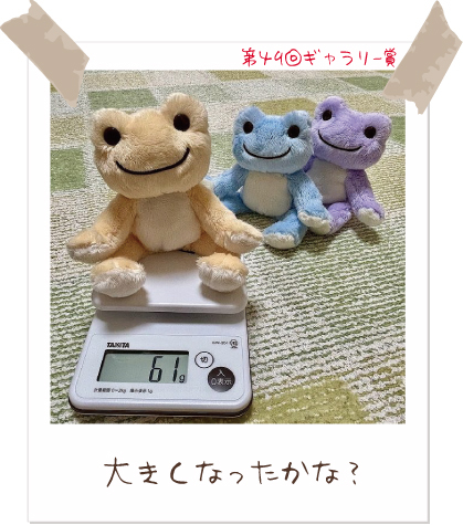 かえるのピクルス/pickles the frog tweet media