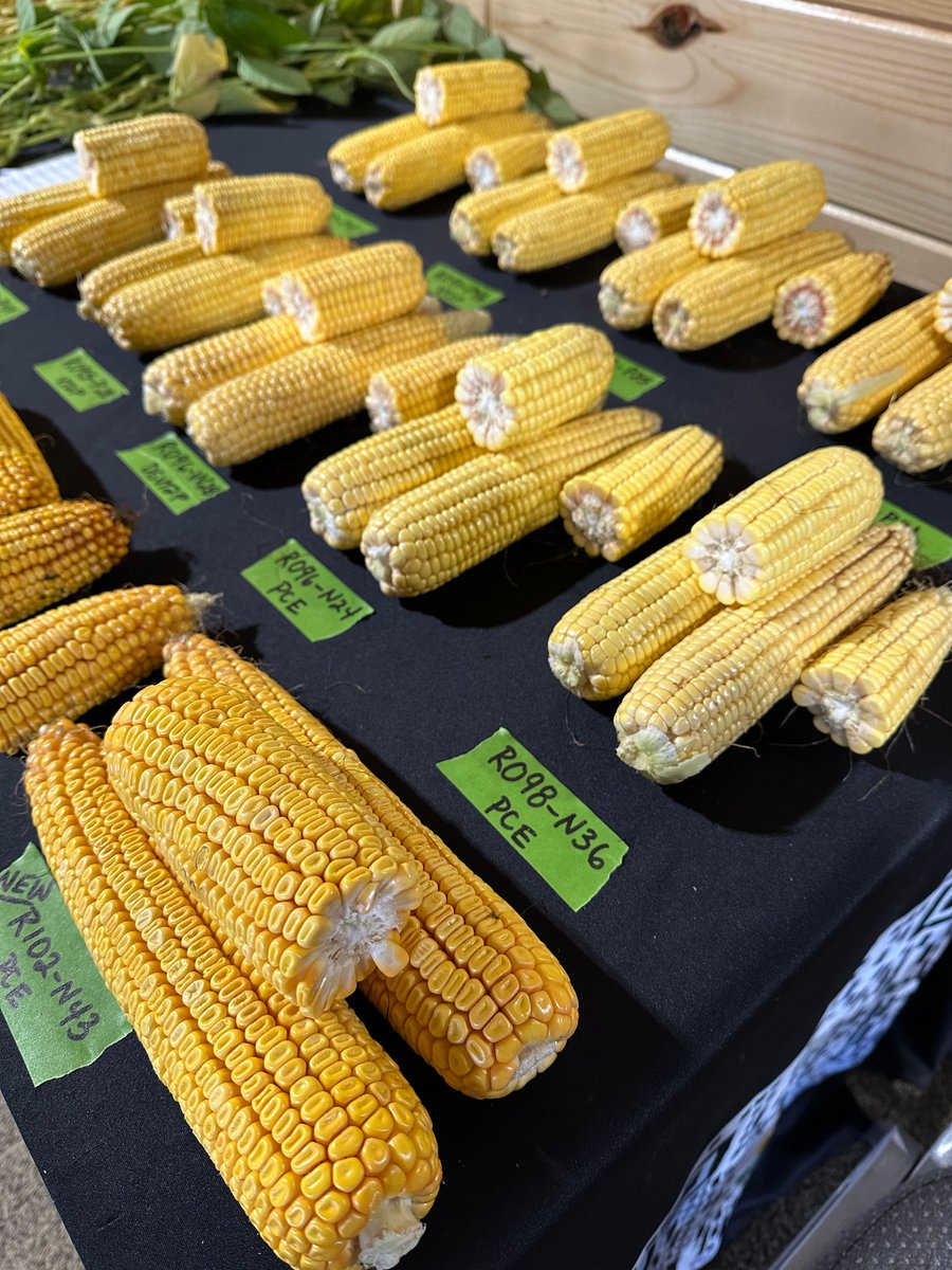 DF Seeds tweet media