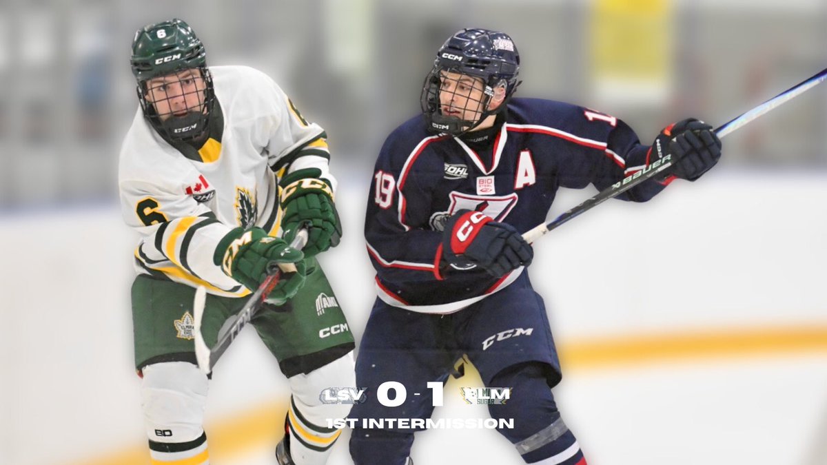 LaSalle Vipers tweet media