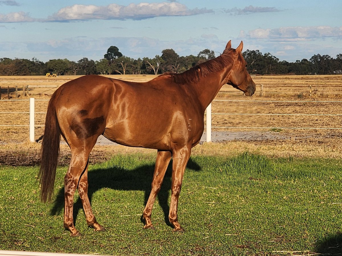 Eeyore Lodge Racing tweet media