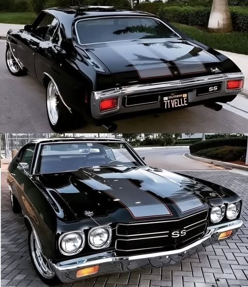 Mary520s502's tweet photo. Beautiful Chevy Chevelle ss

Are you willing to pay for it?🤔 https://t.co/7ZRYszaUd2