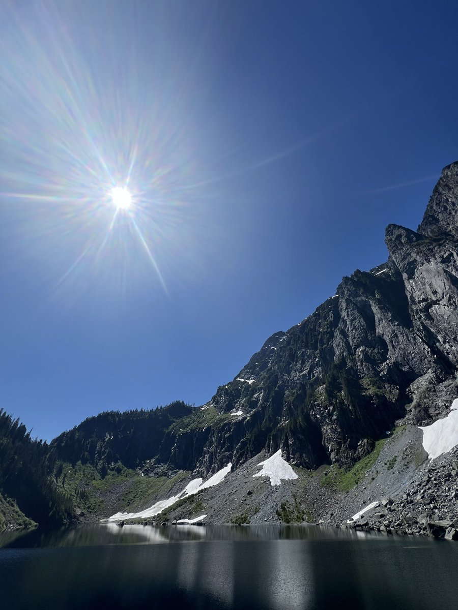 A Limited Liability Company tweet media