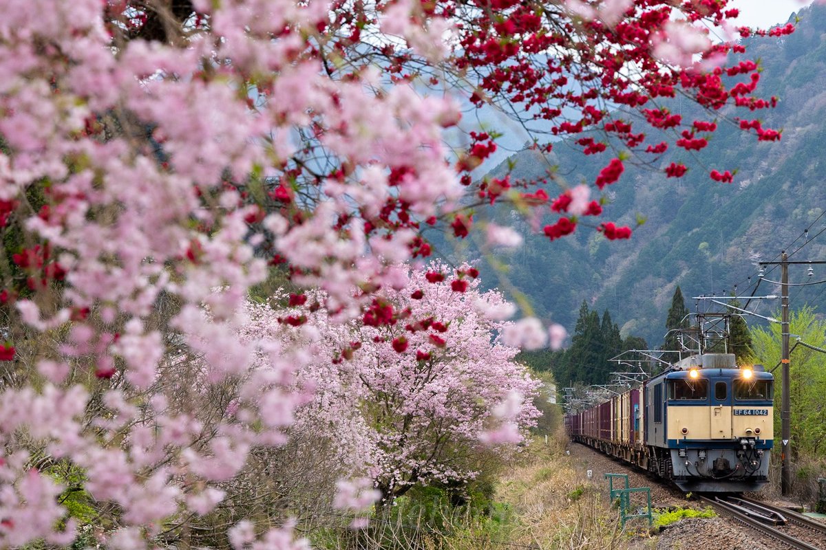 バトルヒーター(鉄道垢) tweet media