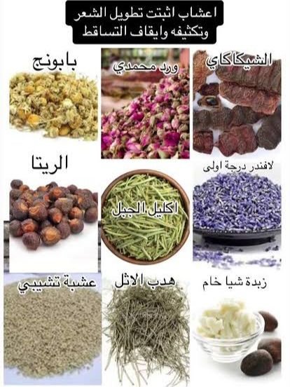 رحلات سياحية tweet media