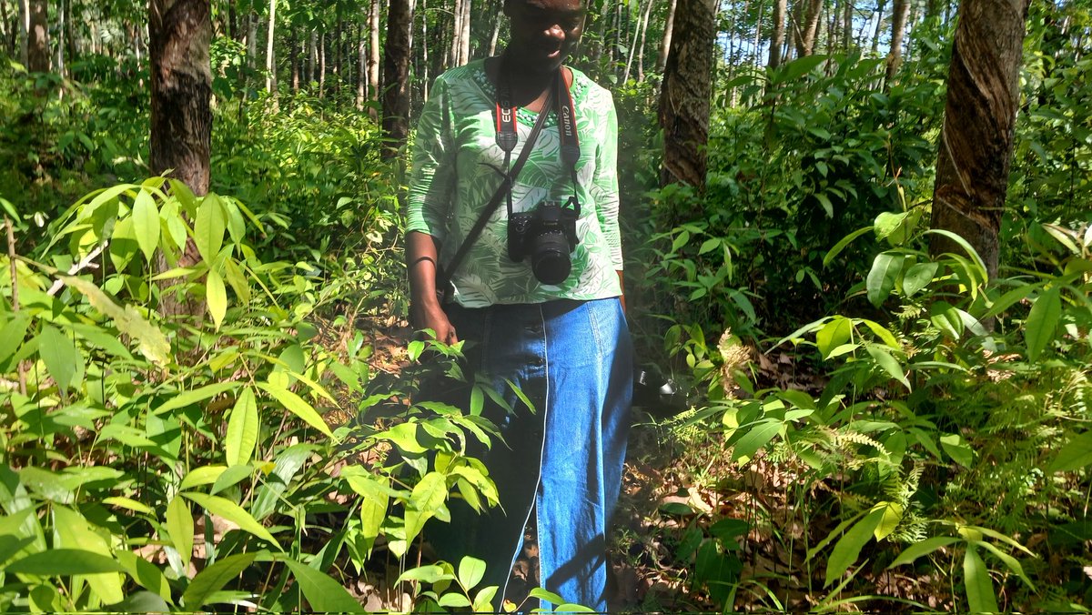 EVELYN KPADEH SEAGBE tweet media