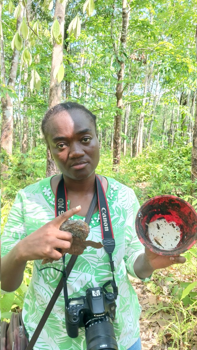 EVELYN KPADEH SEAGBE tweet media