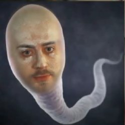 miles 🕷️ tweet media