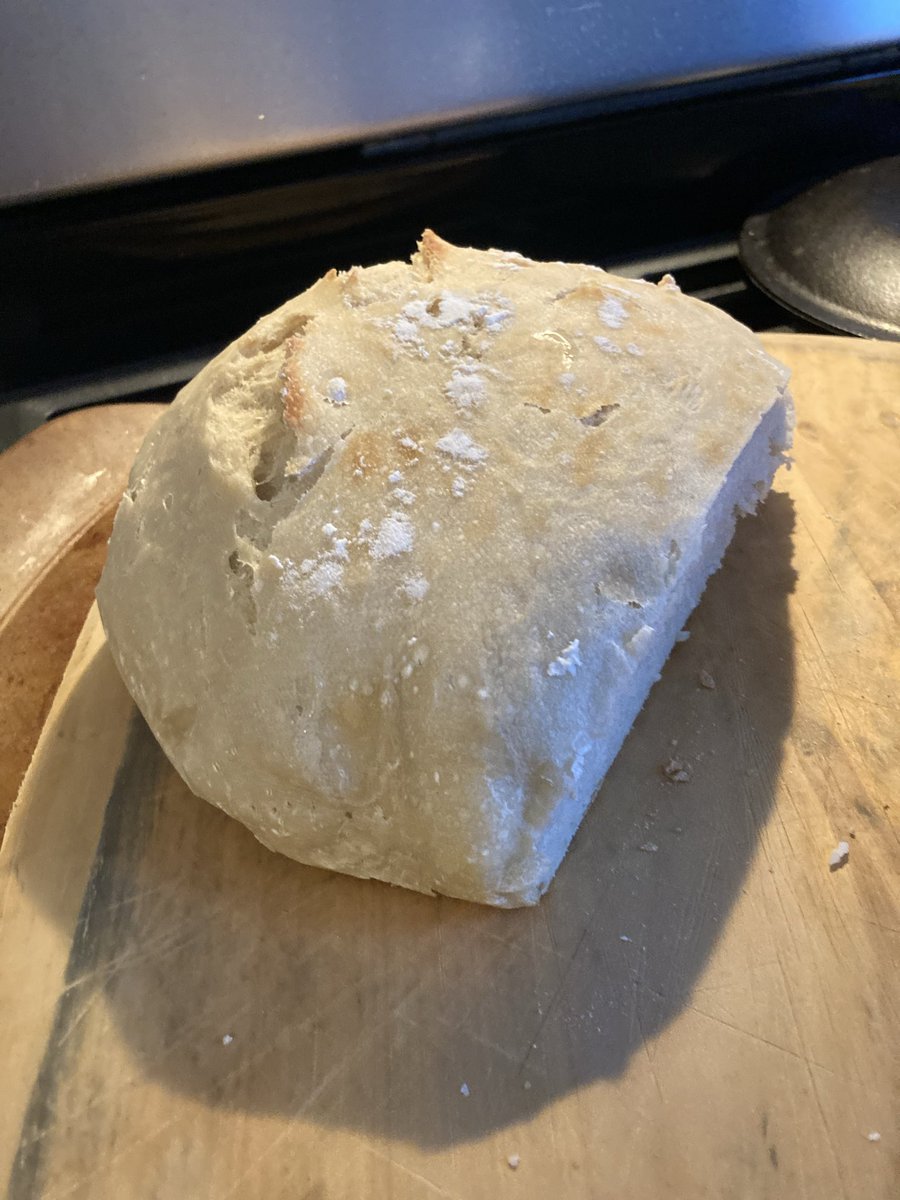 D w/Lily tweet media