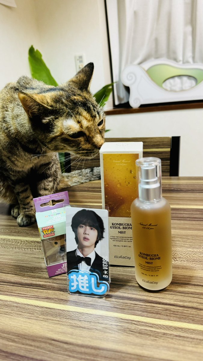 aisin225's tweet photo. 私のかわいいかわいいムギが虹の橋に行って丸1年…

ほんのちょっと仮眠した間にひとりで行っちゃったムギ
ちゃんと見送りたかったのに

飼い主に似て？ジンくんのグッズを広げるとよくクンクンチェックしてたよね

ああ会いたいなぁ

どうかポカポカ陽向の温かい場所で穏やかにしていますように https://t.co/K0WoZkmjvC
